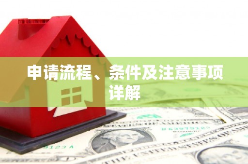 攸县申请流程、条件及注意事项详解