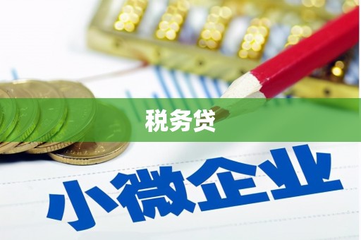 攸县税务贷