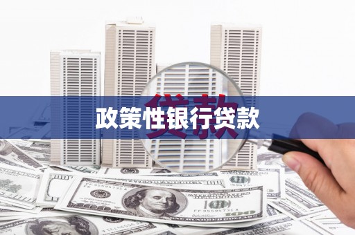 攸县政策性银行贷款