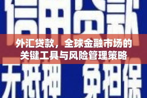 攸县外汇贷款，全球金融市场的关键工具与风险管理策略