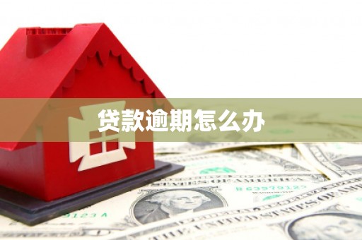 攸县贷款逾期怎么办