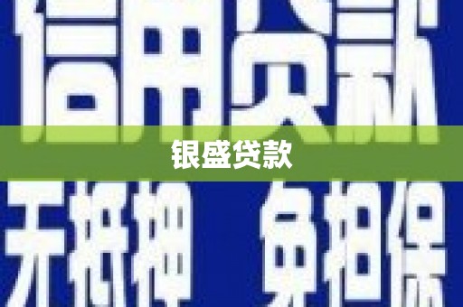 攸县银盛贷款