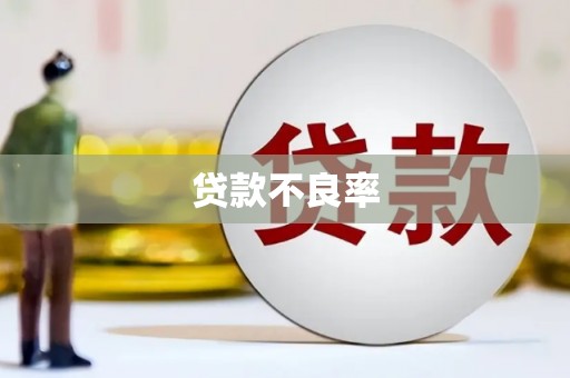攸县贷款不良率
