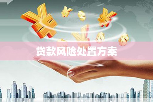 攸县贷款风险处置方案