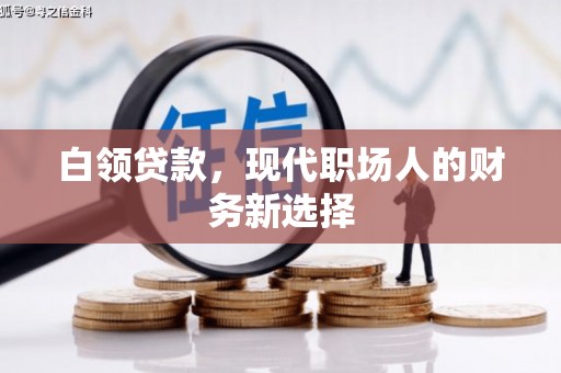 攸县白领贷款，现代职场人的财务新选择