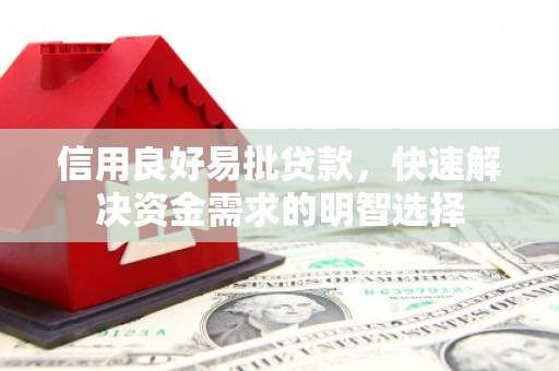 攸县信用良好易批贷款，快速解决资金需求的明智选择