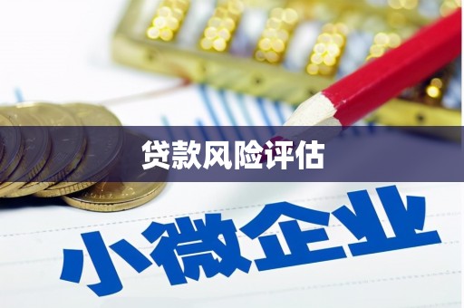 攸县贷款风险评估