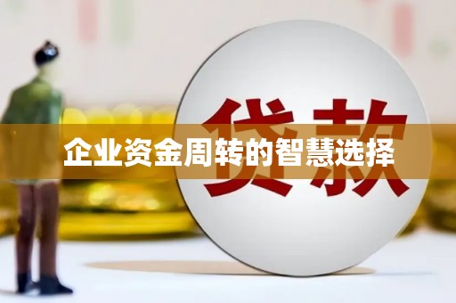 攸县企业资金周转的智慧选择