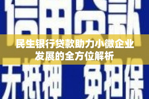 攸县民生银行贷款助力小微企业发展的全方位解析