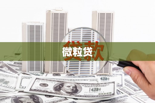 攸县微粒贷