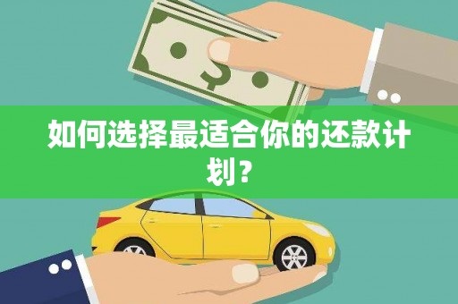 攸县如何选择最适合你的还款计划？
