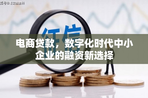 攸县电商贷款，数字化时代中小企业的融资新选择