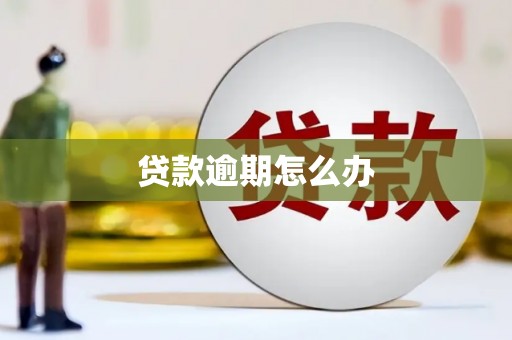 攸县贷款逾期怎么办