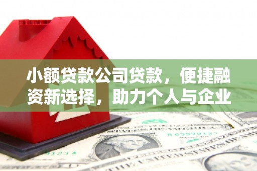 攸县小额贷款公司贷款，便捷融资新选择，助力个人与企业成长