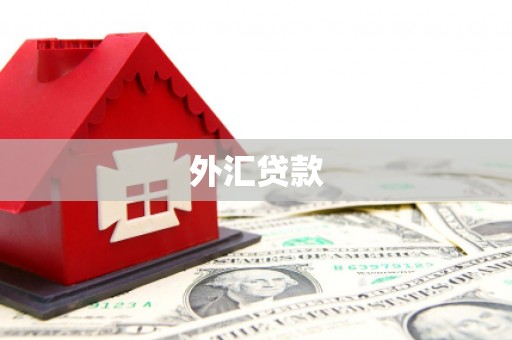 攸县外汇贷款