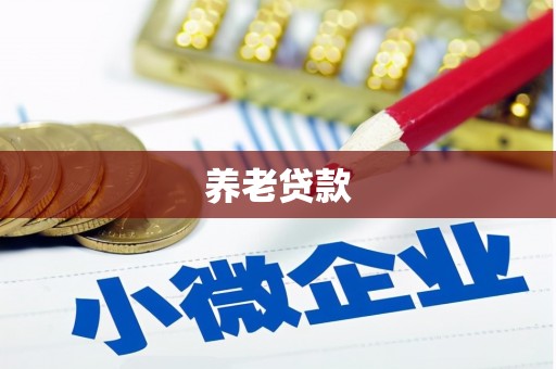 攸县养老贷款