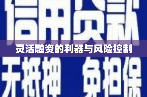 攸县灵活融资的利器与风险控制