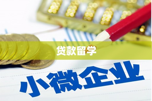 攸县贷款留学