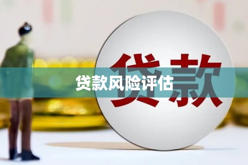 攸县贷款风险评估