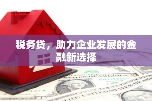 攸县税务贷，助力企业发展的金融新选择