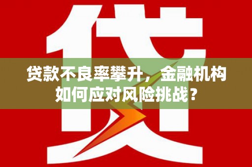 攸县贷款不良率攀升，金融机构如何应对风险挑战？