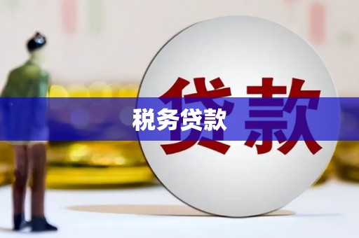 攸县税务贷款