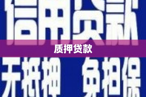 攸县质押贷款