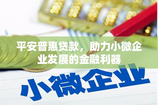 攸县平安普惠贷款，助力小微企业发展的金融利器