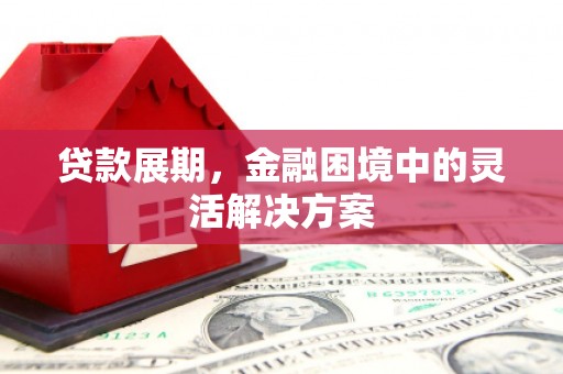 攸县贷款展期，金融困境中的灵活解决方案