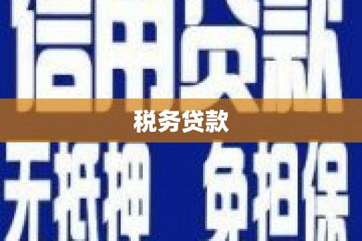攸县税务贷款