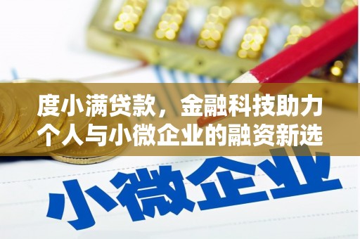 攸县度小满贷款，金融科技助力个人与小微企业的融资新选择