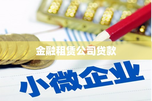 攸县金融租赁公司贷款