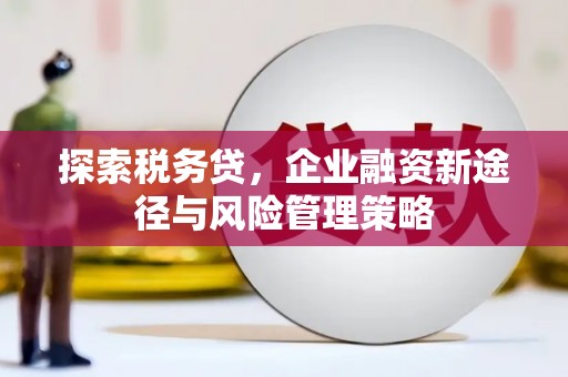 攸县探索税务贷，企业融资新途径与风险管理策略