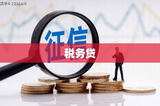攸县税务贷
