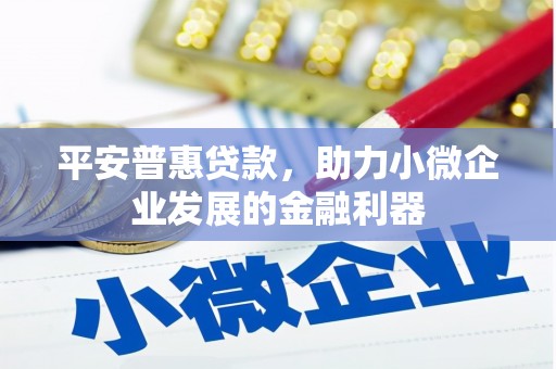 攸县平安普惠贷款，助力小微企业发展的金融利器