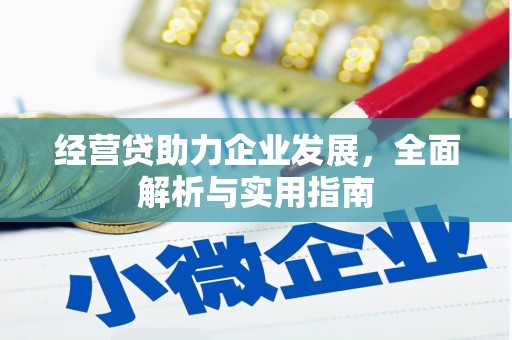 攸县经营贷助力企业发展，全面解析与实用指南