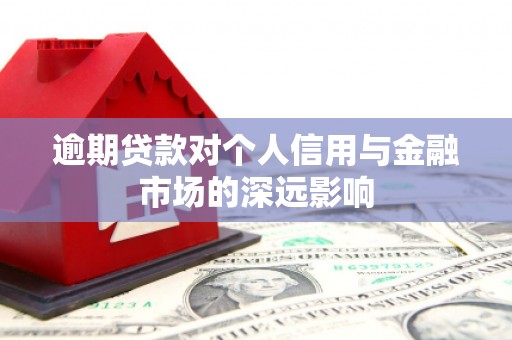 攸县逾期贷款对个人信用与金融市场的深远影响