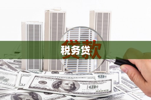 攸县税务贷