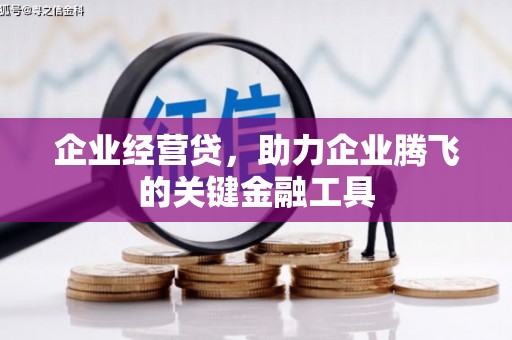 攸县企业经营贷，助力企业腾飞的关键金融工具