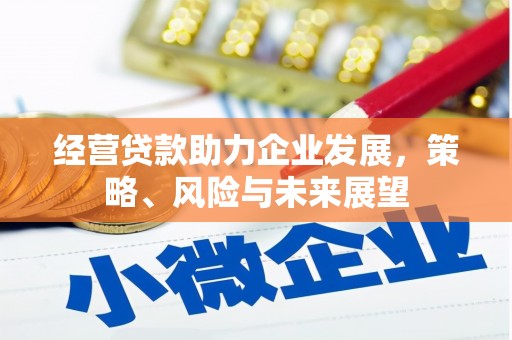 攸县经营贷款助力企业发展，策略、风险与未来展望