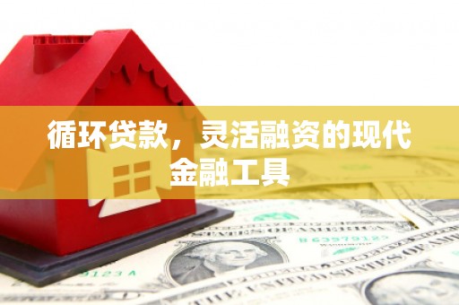 攸县循环贷款，灵活融资的现代金融工具