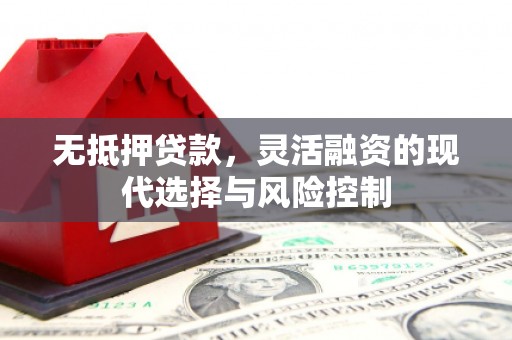 攸县无抵押贷款，灵活融资的现代选择与风险控制