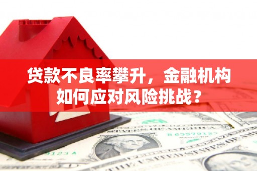 攸县贷款不良率攀升，金融机构如何应对风险挑战？
