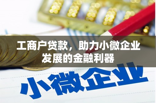 攸县工商户贷款，助力小微企业发展的金融利器