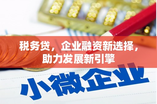 攸县税务贷，企业融资新选择，助力发展新引擎