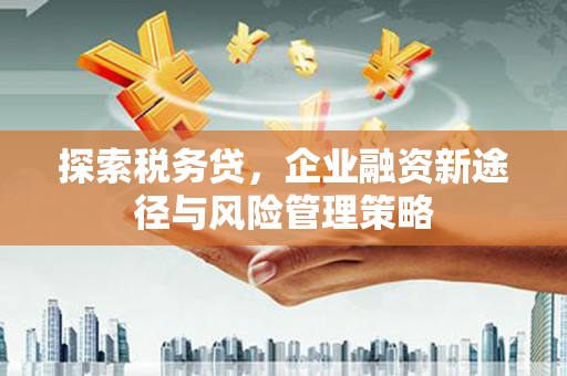 攸县探索税务贷，企业融资新途径与风险管理策略