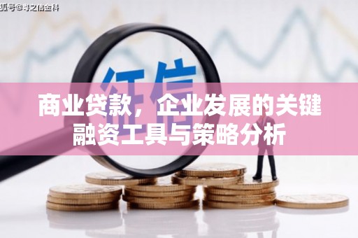 攸县商业贷款，企业发展的关键融资工具与策略分析