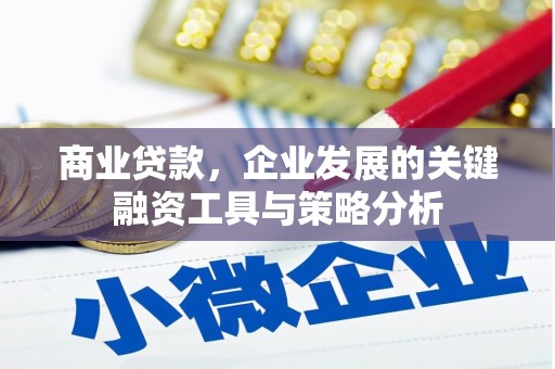 攸县商业贷款，企业发展的关键融资工具与策略分析
