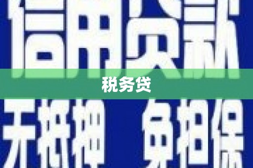 攸县税务贷