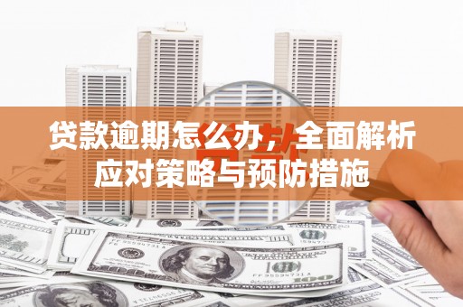 攸县贷款逾期怎么办，全面解析应对策略与预防措施